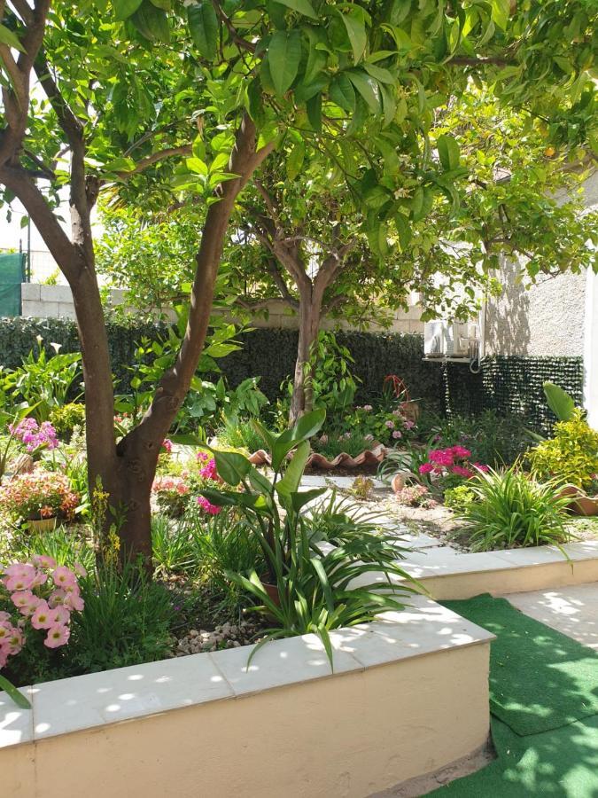 Casa Vacanze Con Giardino E Area Barbecue Martis المظهر الخارجي الصورة