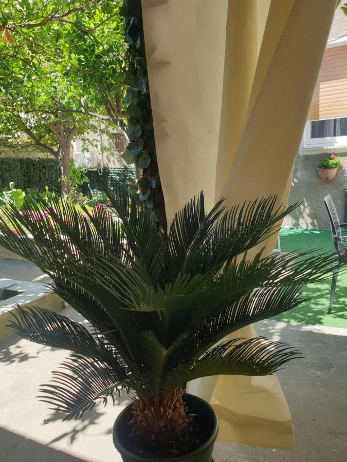 Casa Vacanze Con Giardino E Area Barbecue Martis المظهر الخارجي الصورة